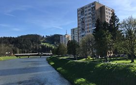 Sunny Appartment By The River